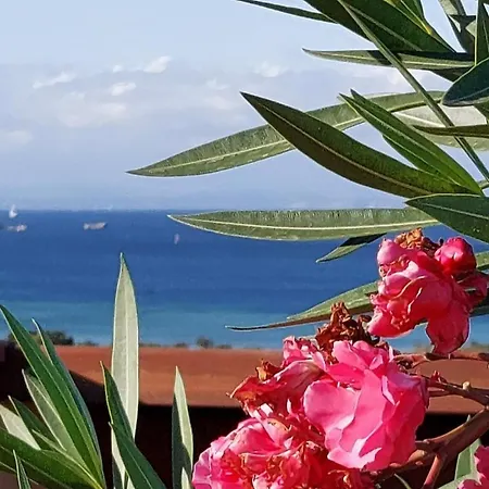 Mare&mirto Palau